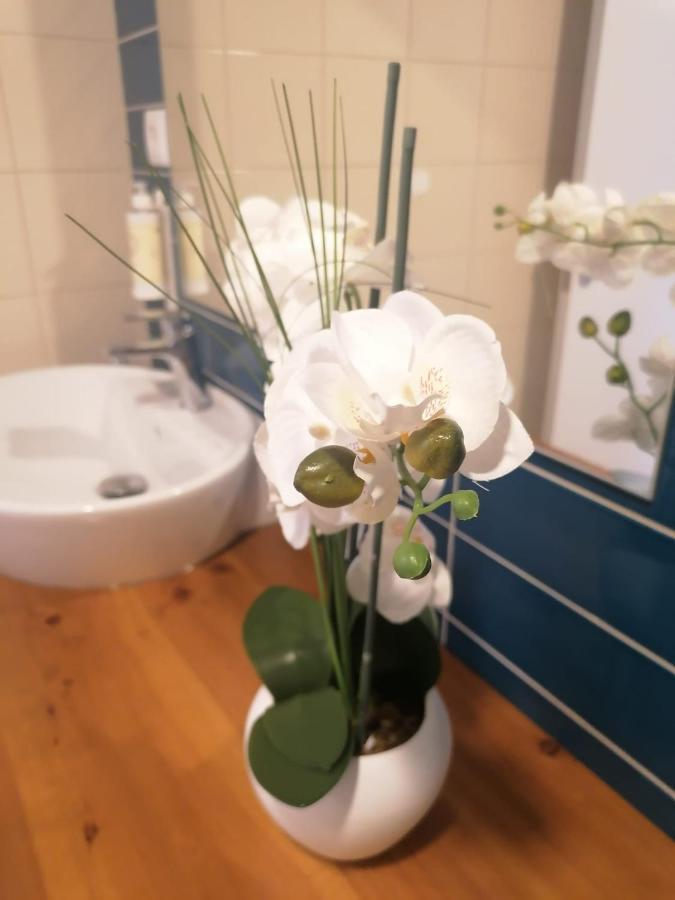 Apartamento Graciosa - Sta Catarina Place Ponta Delgada Kültér fotó